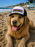 Purple Beach Dog trucker hat for dogs
