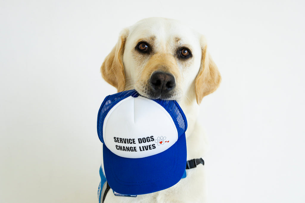 "Service Dogs Change Lives" 2026 Caps With A Cause Dog Trucker Hat
