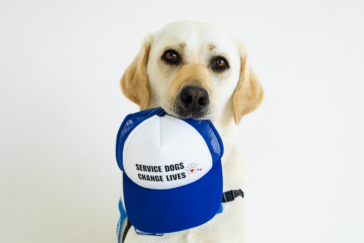 "Service Dogs Change Lives" 2026 Caps With A Cause Dog Trucker Hat
