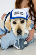 Service dog wearing Service Dogs Change Lives Caps With A Cause dog trucker hat