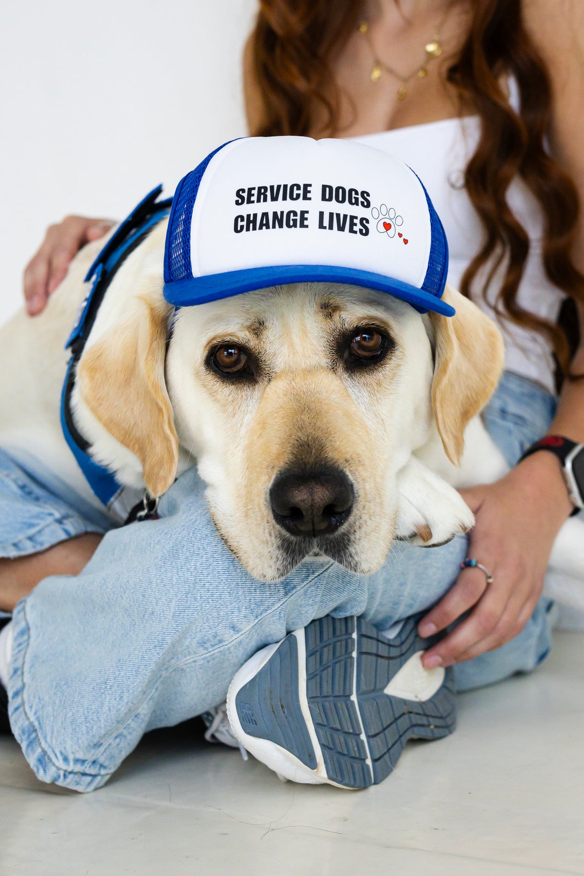 Service dog wearing Service Dogs Change Lives Caps With A Cause dog trucker hat
