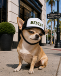 BITCH green camo trucker hat for dogs