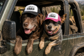 Jeep Life adventure trucker hat for dogs