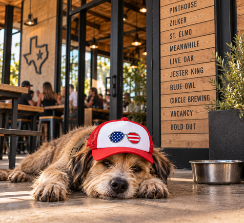 Dog wearing American Aviators patriotic dog trucker hat