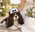 Black Bow Tie wedding dog trucker hat