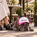 Dog wearing Brunch funny dog trucker hat