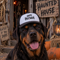 Dog wearing Happy Halloween dog trucker hat