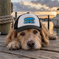Dog wearing Naughty Dog funny dog trucker hat