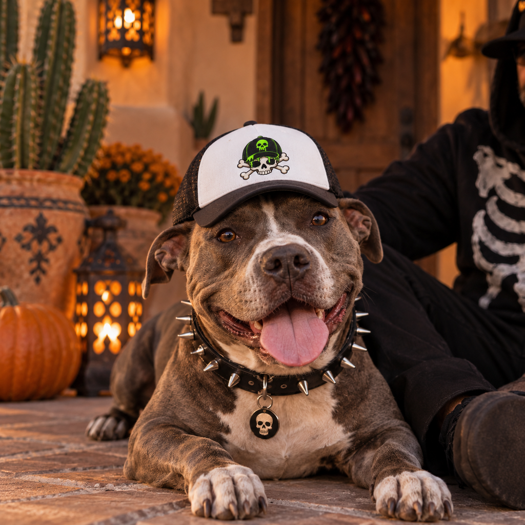 Dog wearing Green Alien dog trucker hat