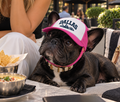 Dog wearing Dallas city dog trucker hat