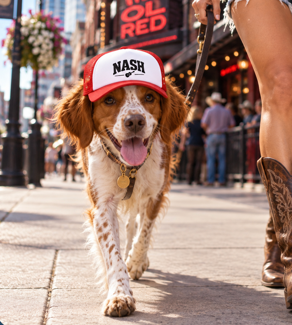 Dog wearing Nash Nashville-inspired dog trucker hat