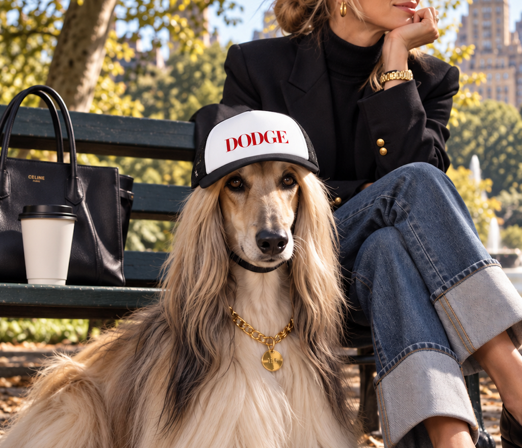 Dog wearing DODGE funny dog trucker hat