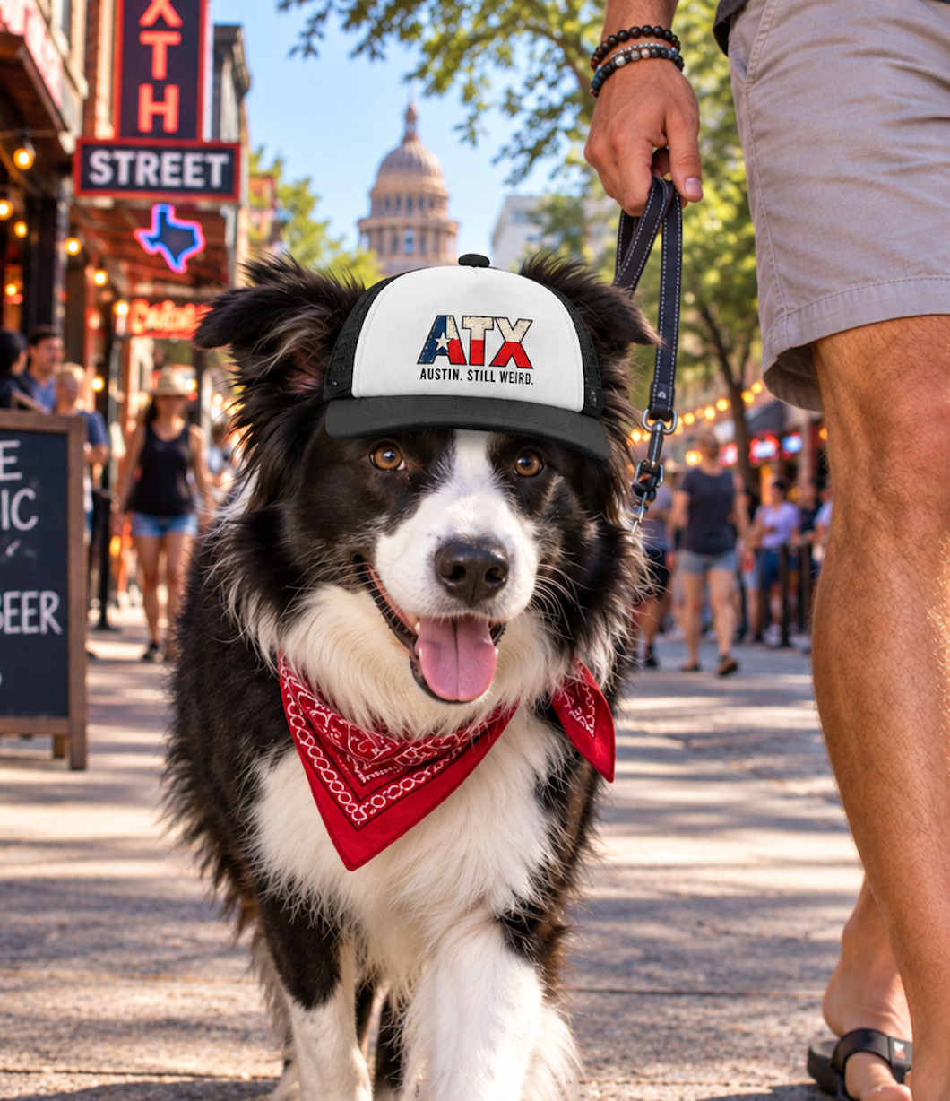 Dog wearing ATX Austin dog trucker hat