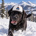 Dog wearing Snowboarder winter dog trucker hat